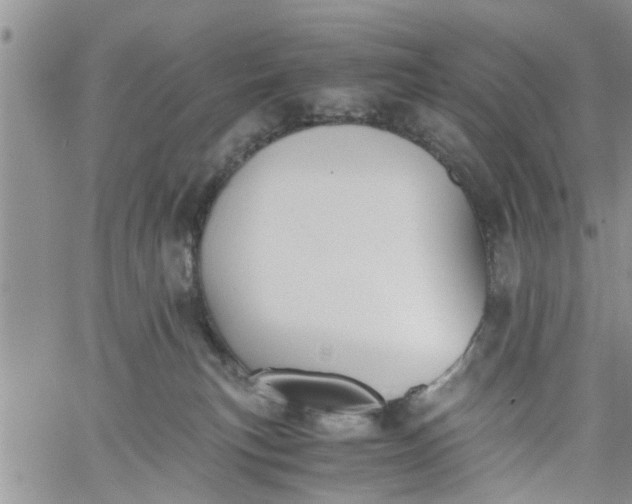 X0000060780183200511241829