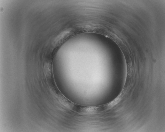 X0000060780184200511241829