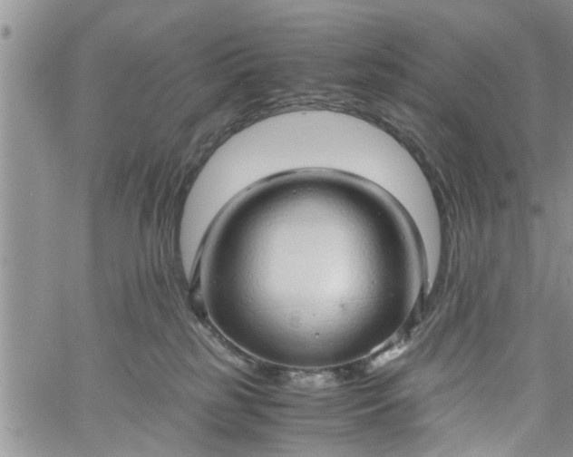 X0000060780185200511241829