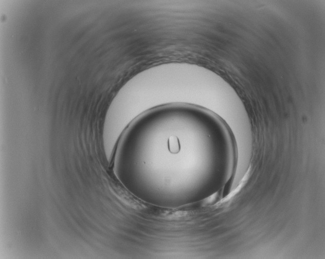 X0000060780186200511241829