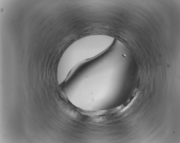 X0000060780187200511241829