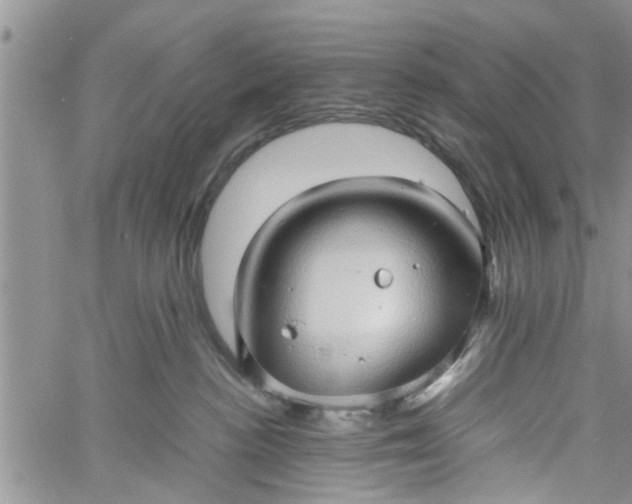 X0000060780188200511241829