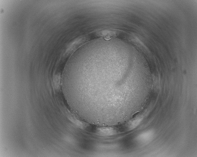 X0000060780189200511241829