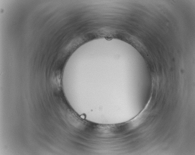 X0000060780190200511241829