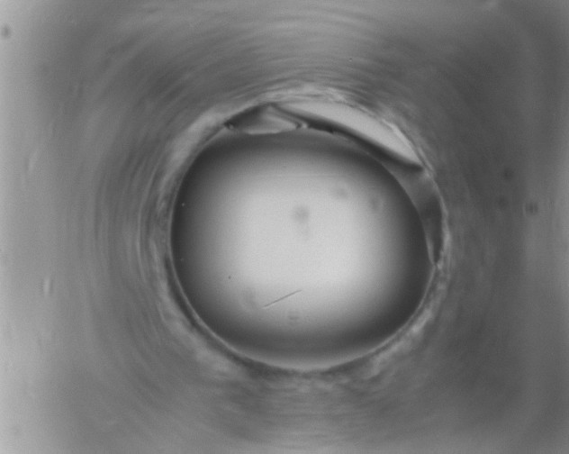 X0000060780193200511241828