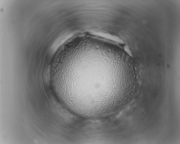 X0000060780194200511241828