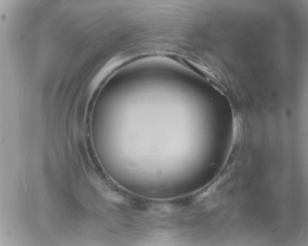 X0000060780195200511241828