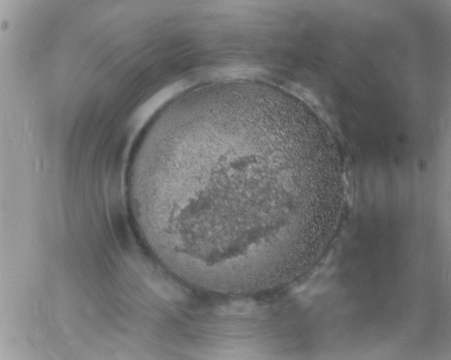 X0000060780196200511241828