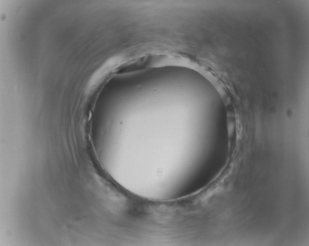 X0000060780197200511241828