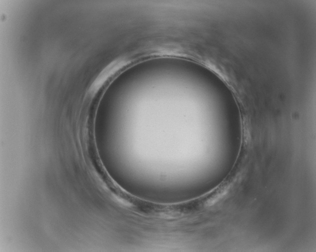 X0000060780199200511241828