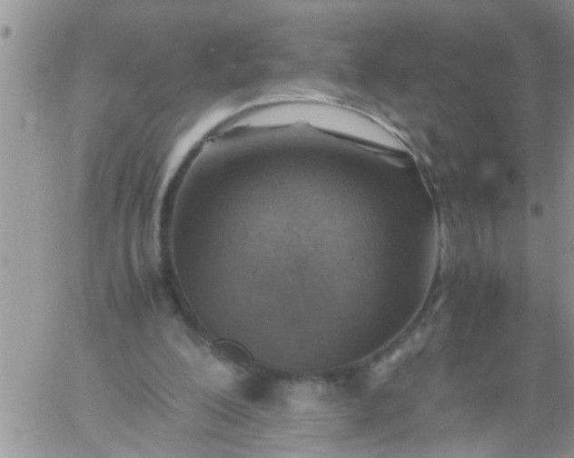 X0000060780200200511241828