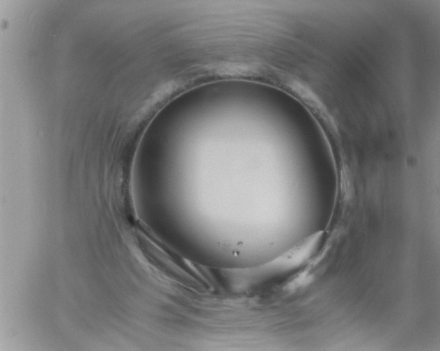 X0000060780201200511241828