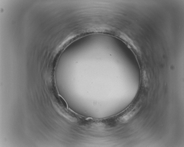 X0000060780203200511241828