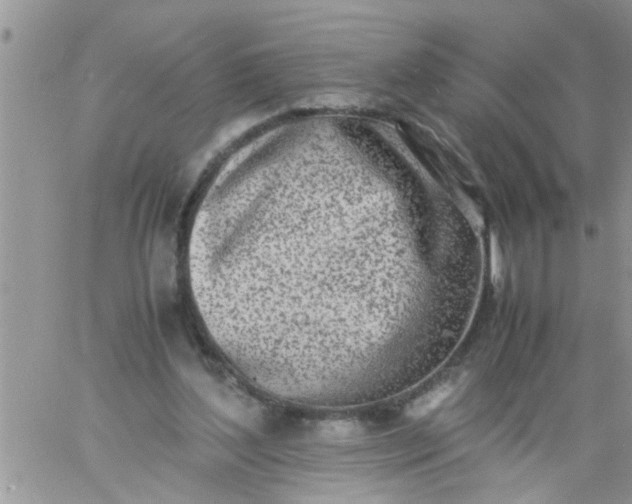 X0000060780204200511241828