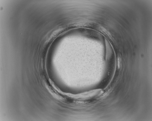 X0000060780205200511241828