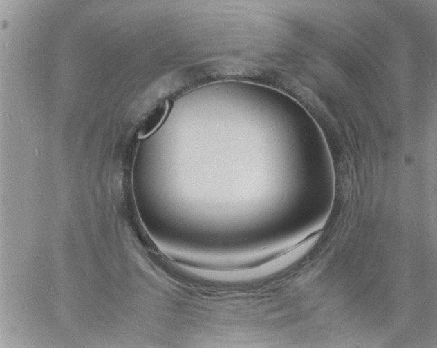 X0000060780207200511241828