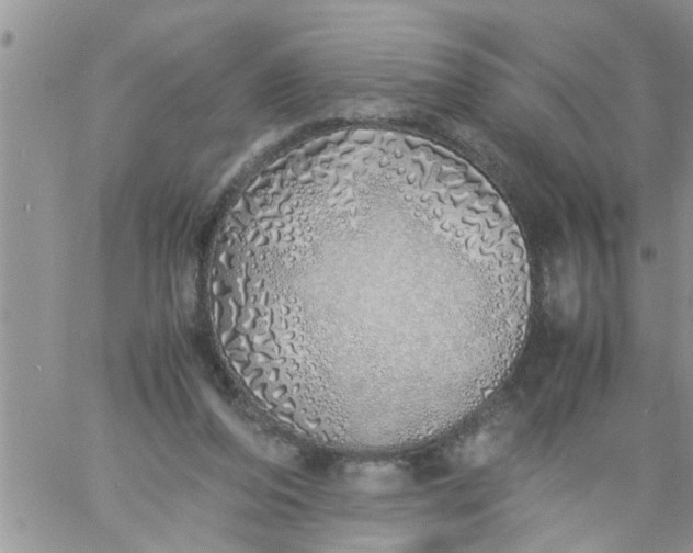 X0000060780208200511241828