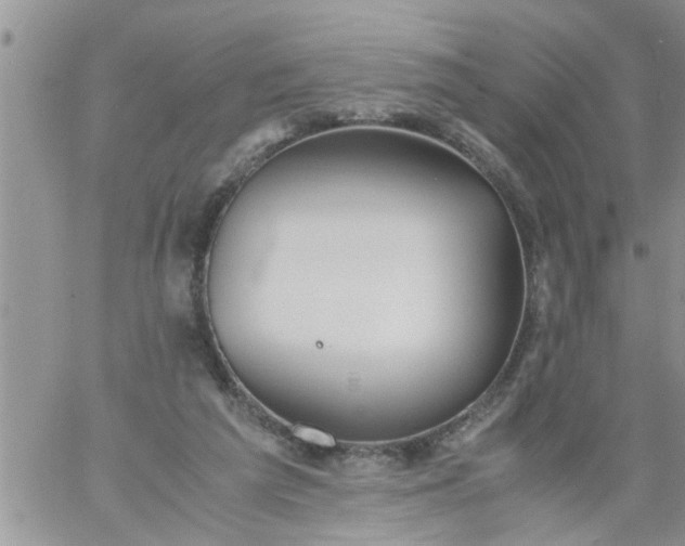 X0000060780209200511241828