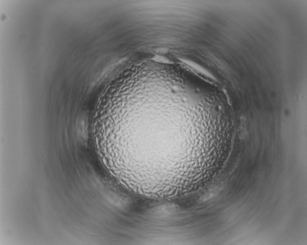 X0000060780210200511241828