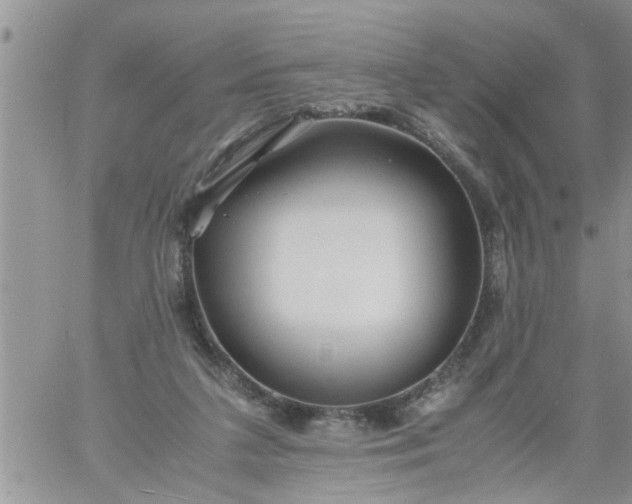 X0000060780211200511241828