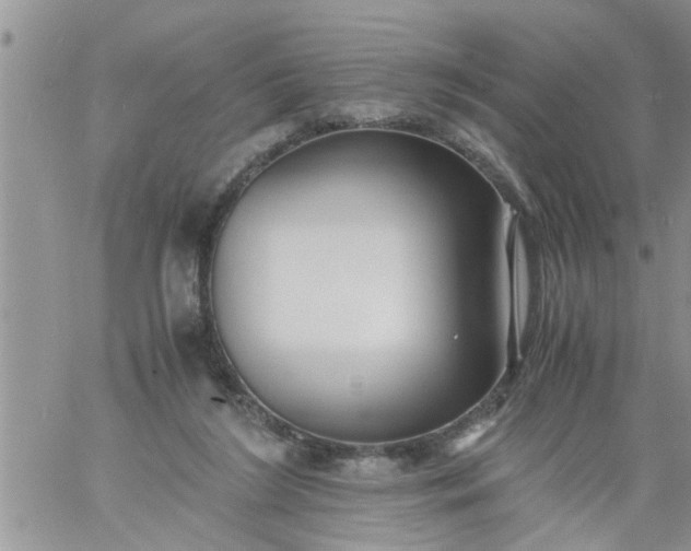 X0000060780212200511241828