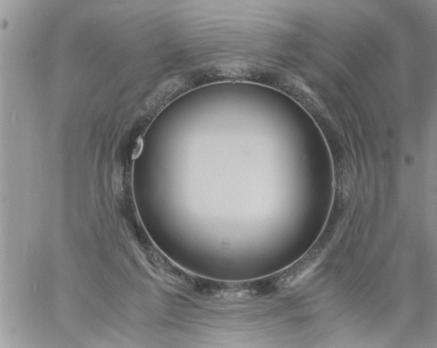 X0000060780213200511241828