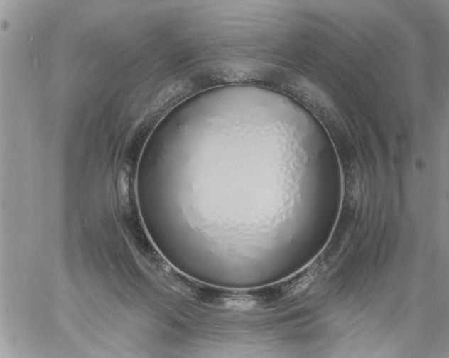 X0000060780214200511241828