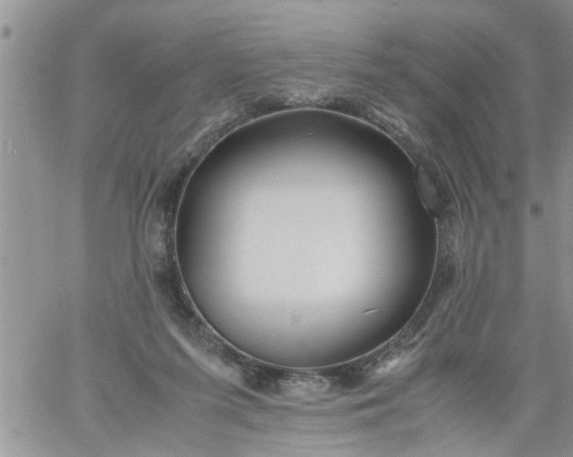 X0000060780215200511241828