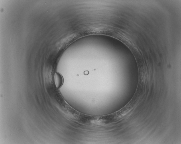 X0000060780216200511241827