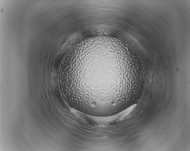 X0000060780218200511241827