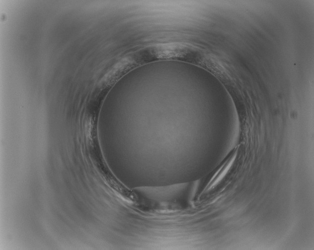 X0000060780219200511241827