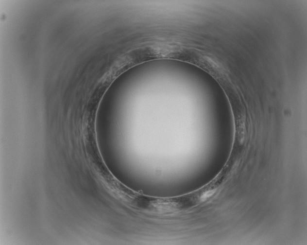 X0000060780221200511241827