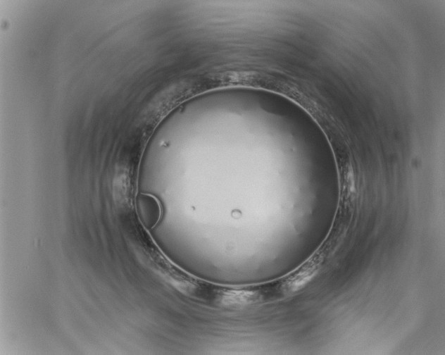 X0000060780222200511241827