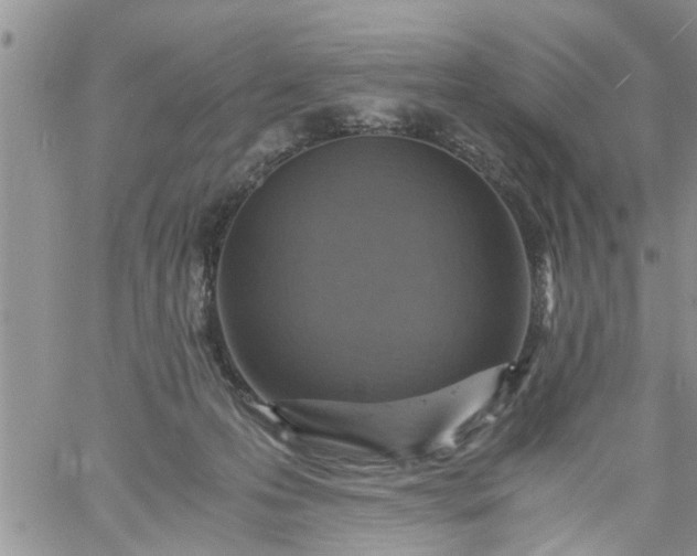 X0000060780223200511241827