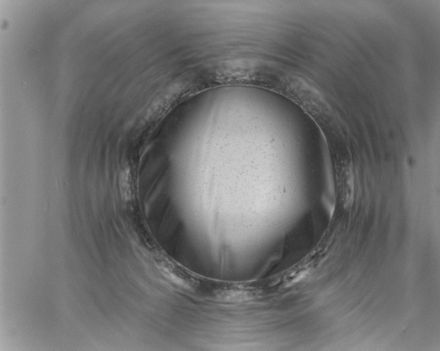 X0000060780224200511241827