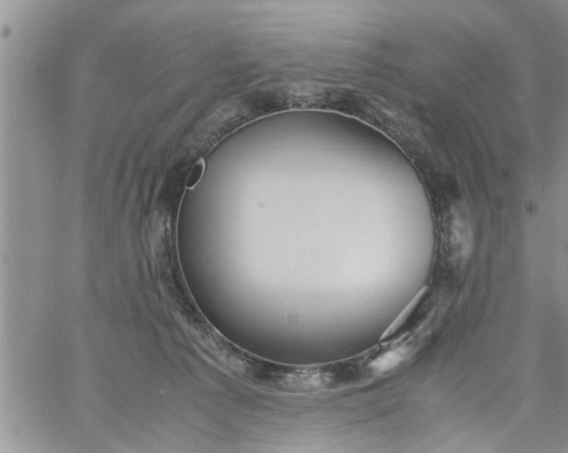 X0000060780225200511241827