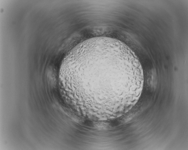 X0000060780226200511241827