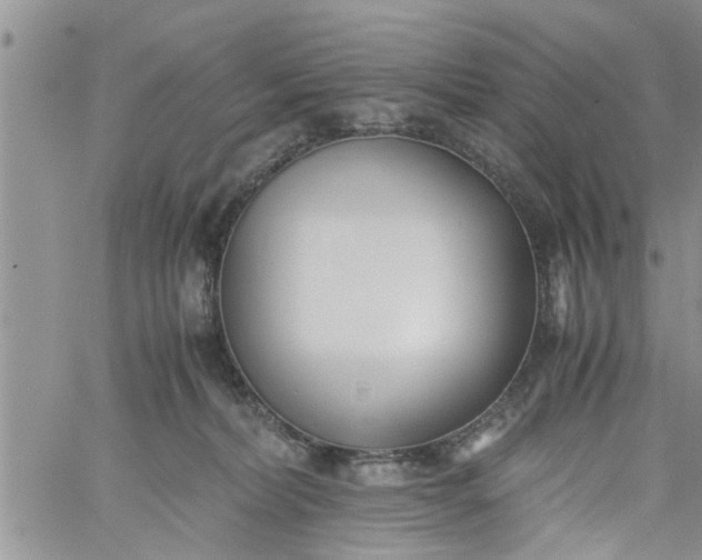 X0000060780228200511241827