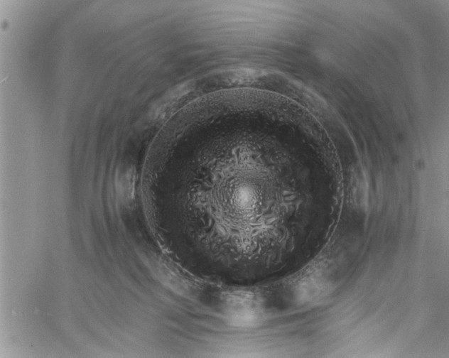 X0000060780230200511241827