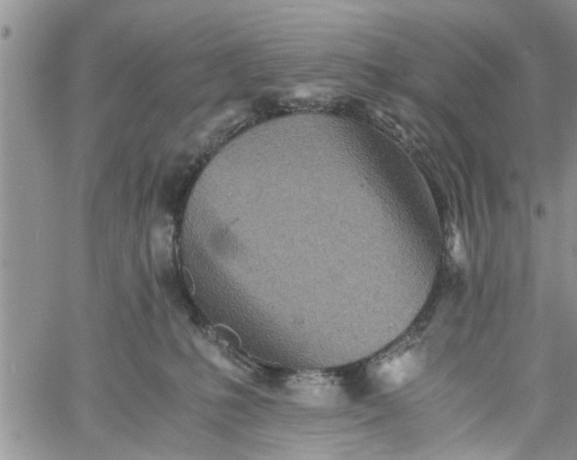 X0000060780231200511241827