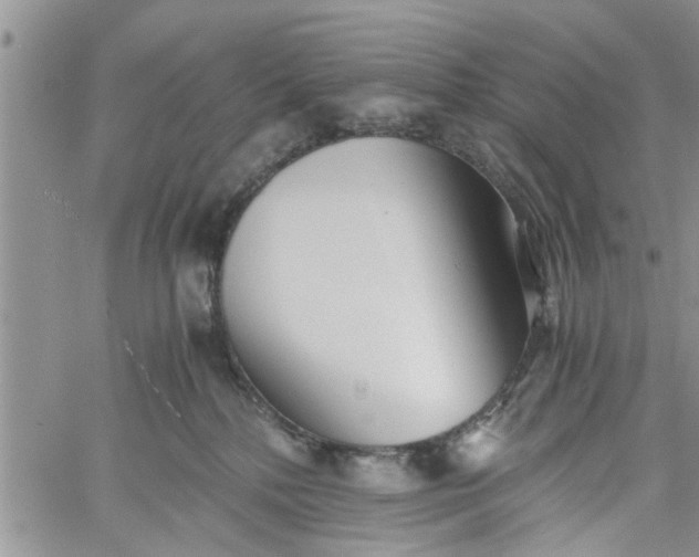 X0000060780232200511241827