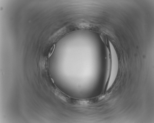 X0000060780233200511241827