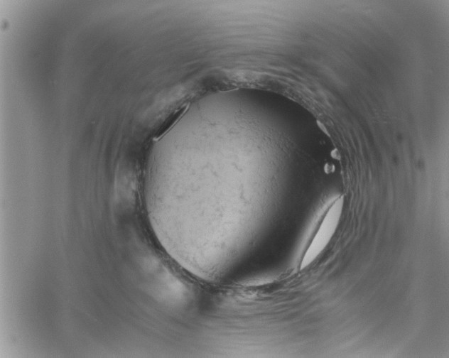 X0000060780235200511241827