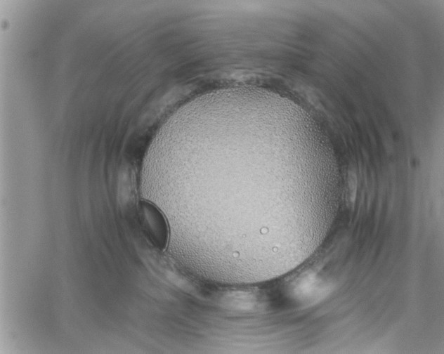 X0000060780236200511241827