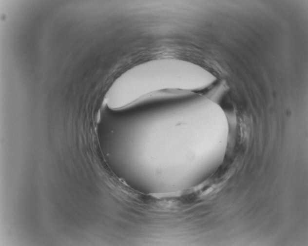 X0000060780237200511241827