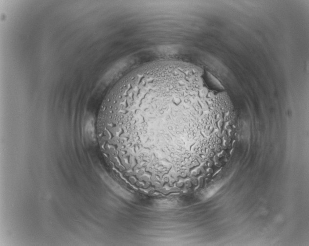 X0000060780238200511241827