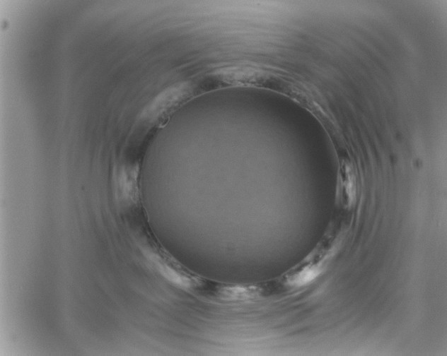 X0000060780239200511241827