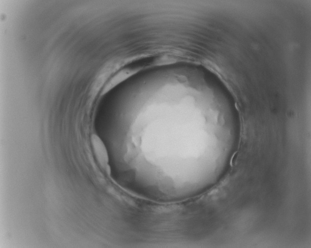 X0000060780241200511241826