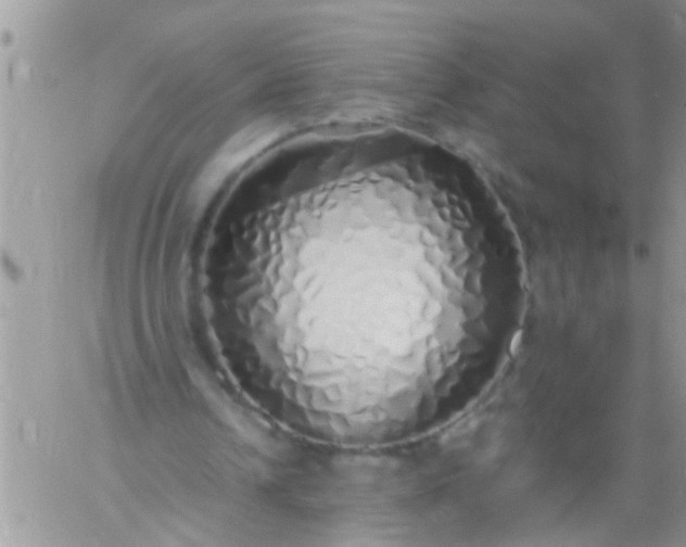 X0000060780242200511241826