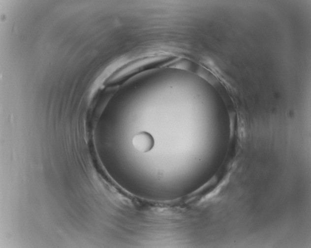 X0000060780244200511241826